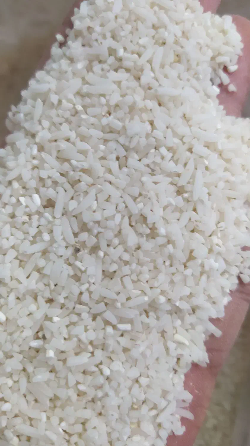 برنج سرلاشه مینودشت|خوردنی و آشامیدنی|سبزوار, هویزه|دیوار