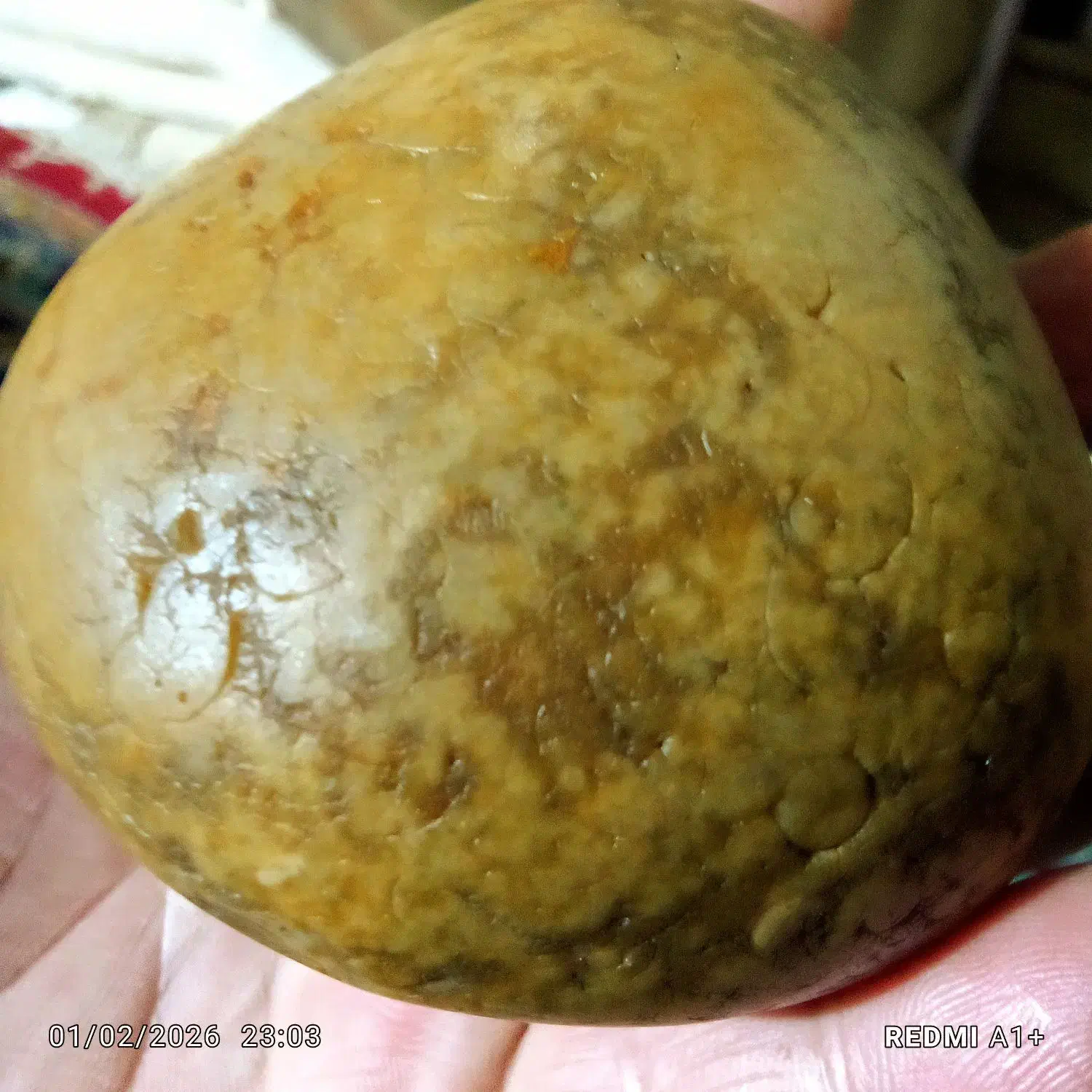 سنگ زیبای کلکسیونی|کلکسیون اشیاء عتیقه|ساری, |دیوار