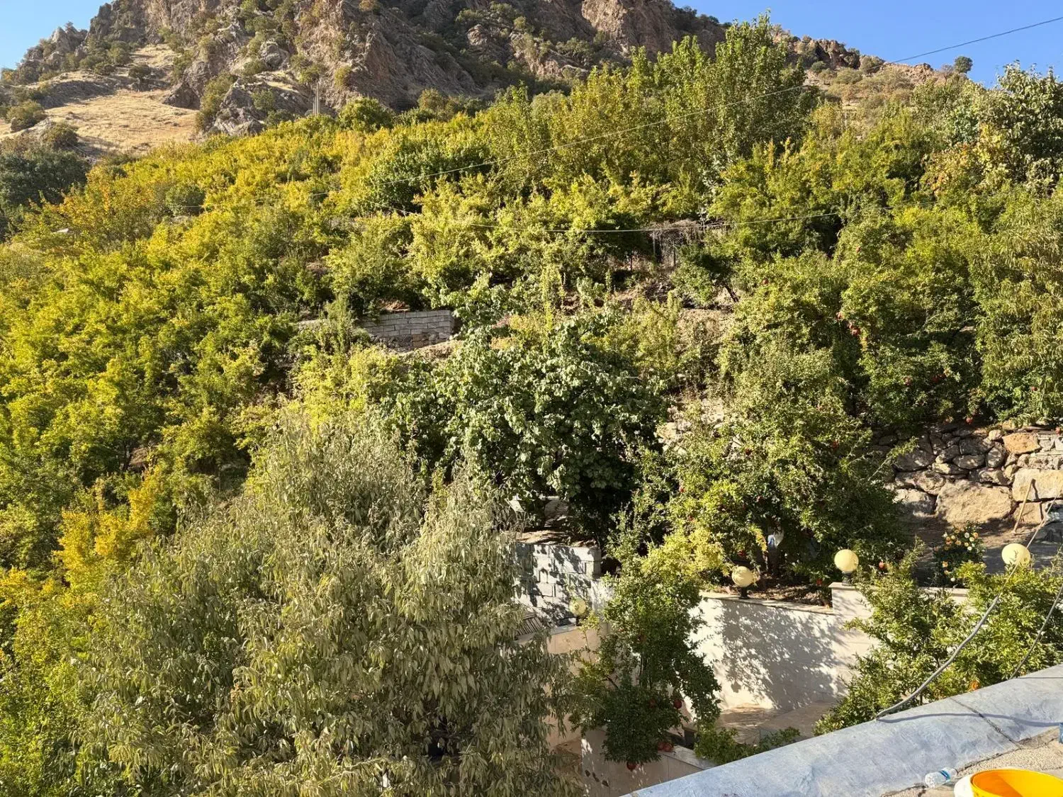 شهرستان پاوه روستای دشه سویت اجاره ای|اجارهٔ کوتاهمدت آپارتمان و سوئیت|پاوه, |دیوار