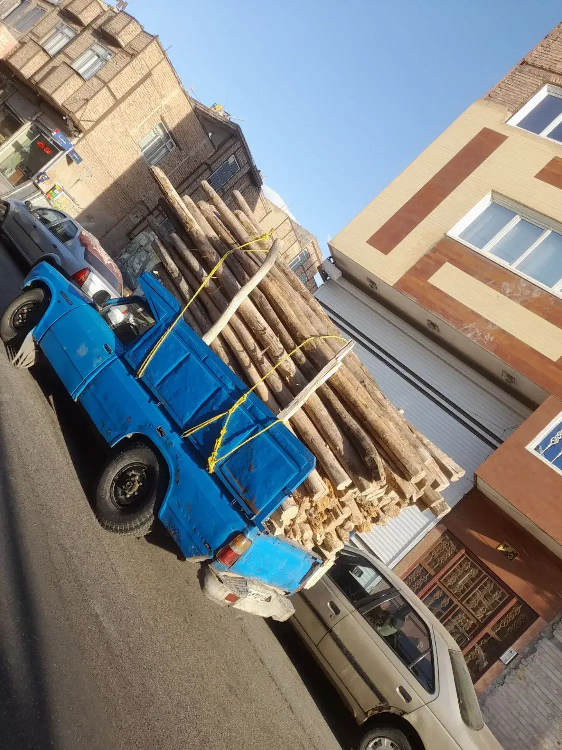 خرید چوب سقفی و تخریب ساختمان|خدمات باغبانی و درختکاری|تبریز, |دیوار