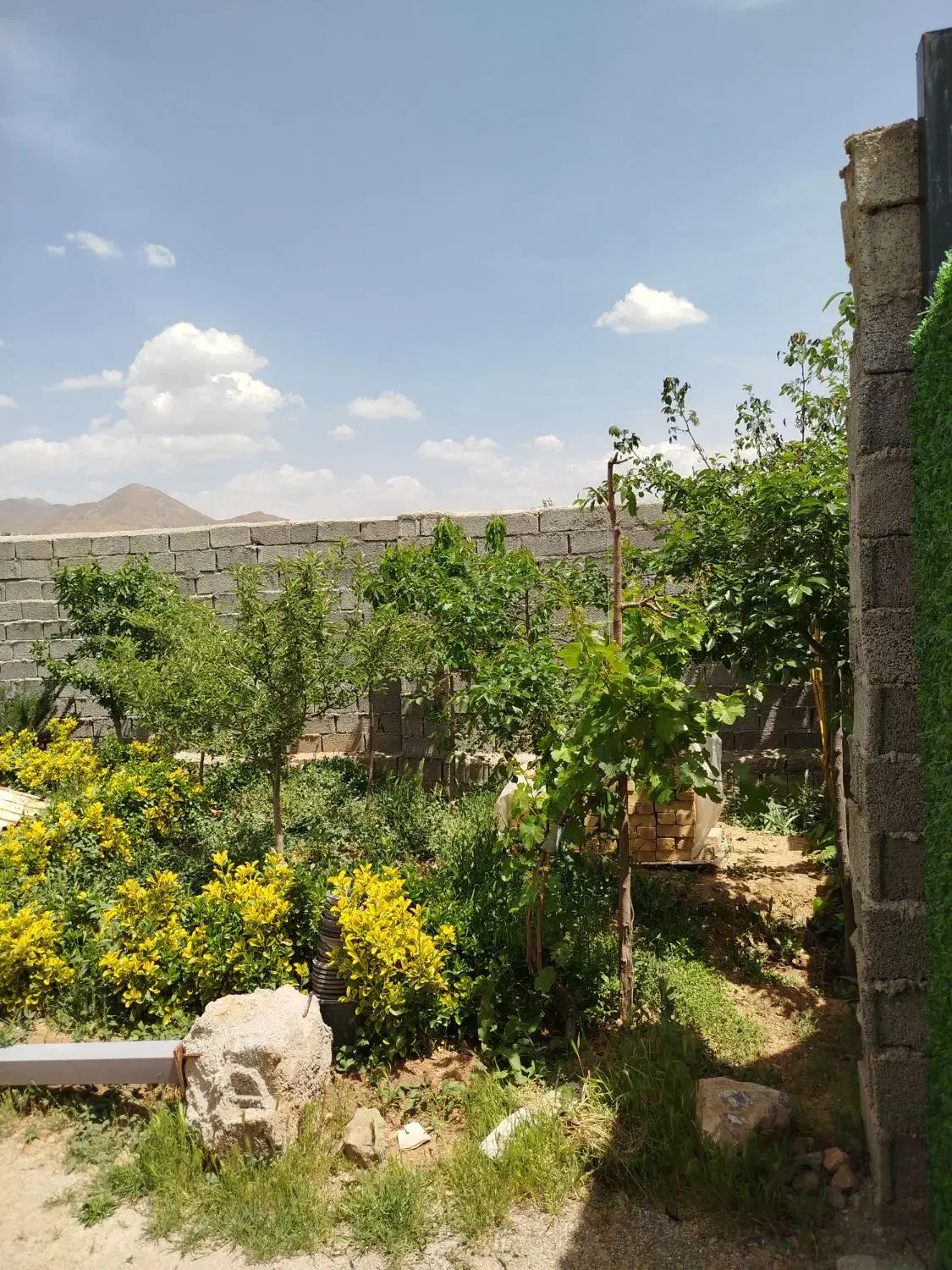 فشند باغچه نیمه کاره|فروش خانه و ویلا|هشتگرد, فشند|دیوار