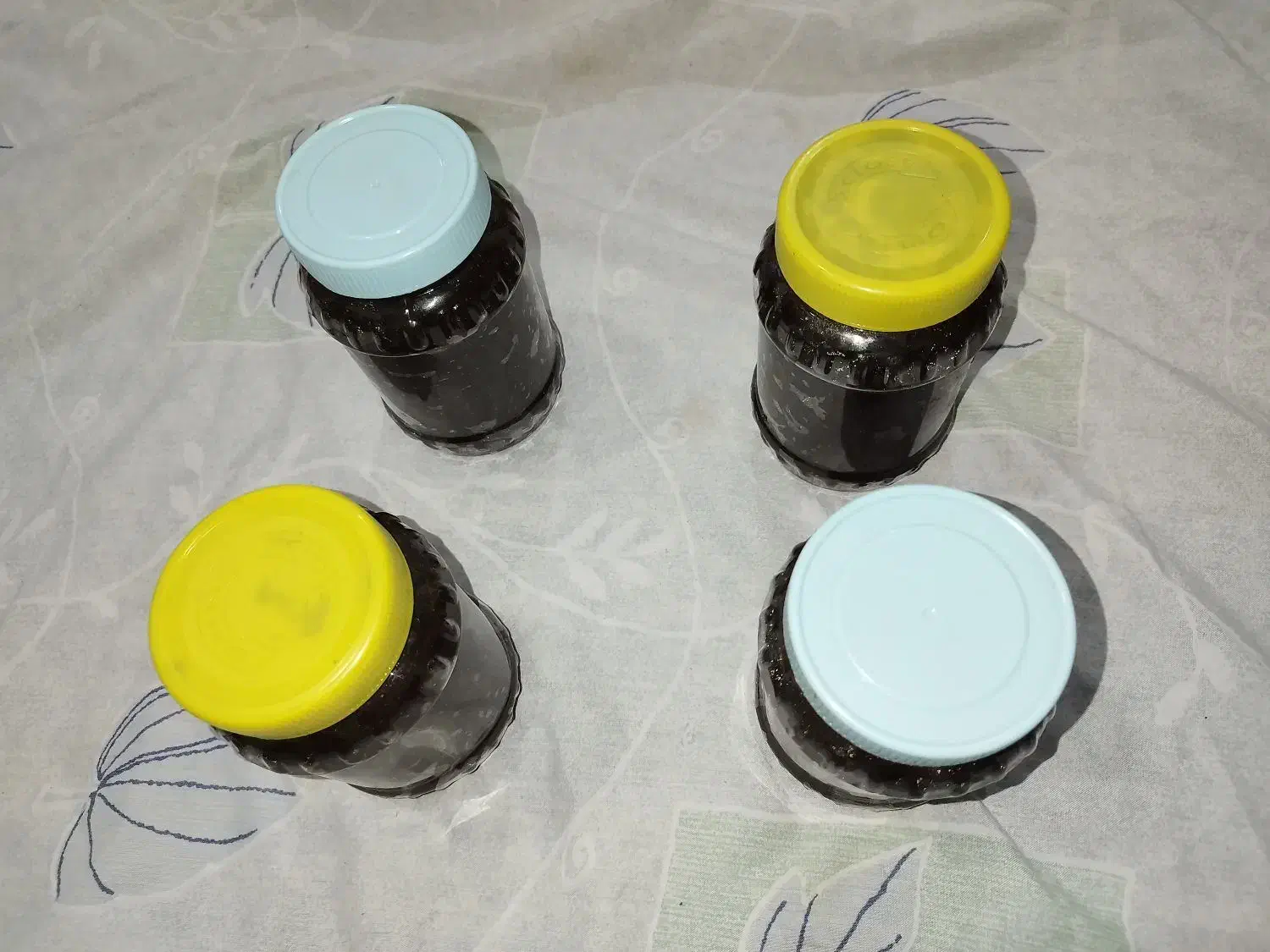 رب آلوچه گوجه سبز|خوردنی و آشامیدنی|شفت, |دیوار