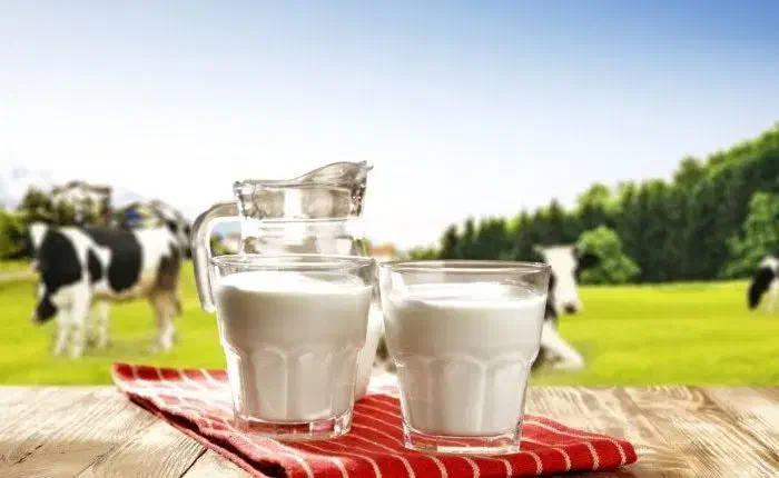 لبنیاتیی شیر|خوردنی و آشامیدنی|قره ضیاالدین, |دیوار
