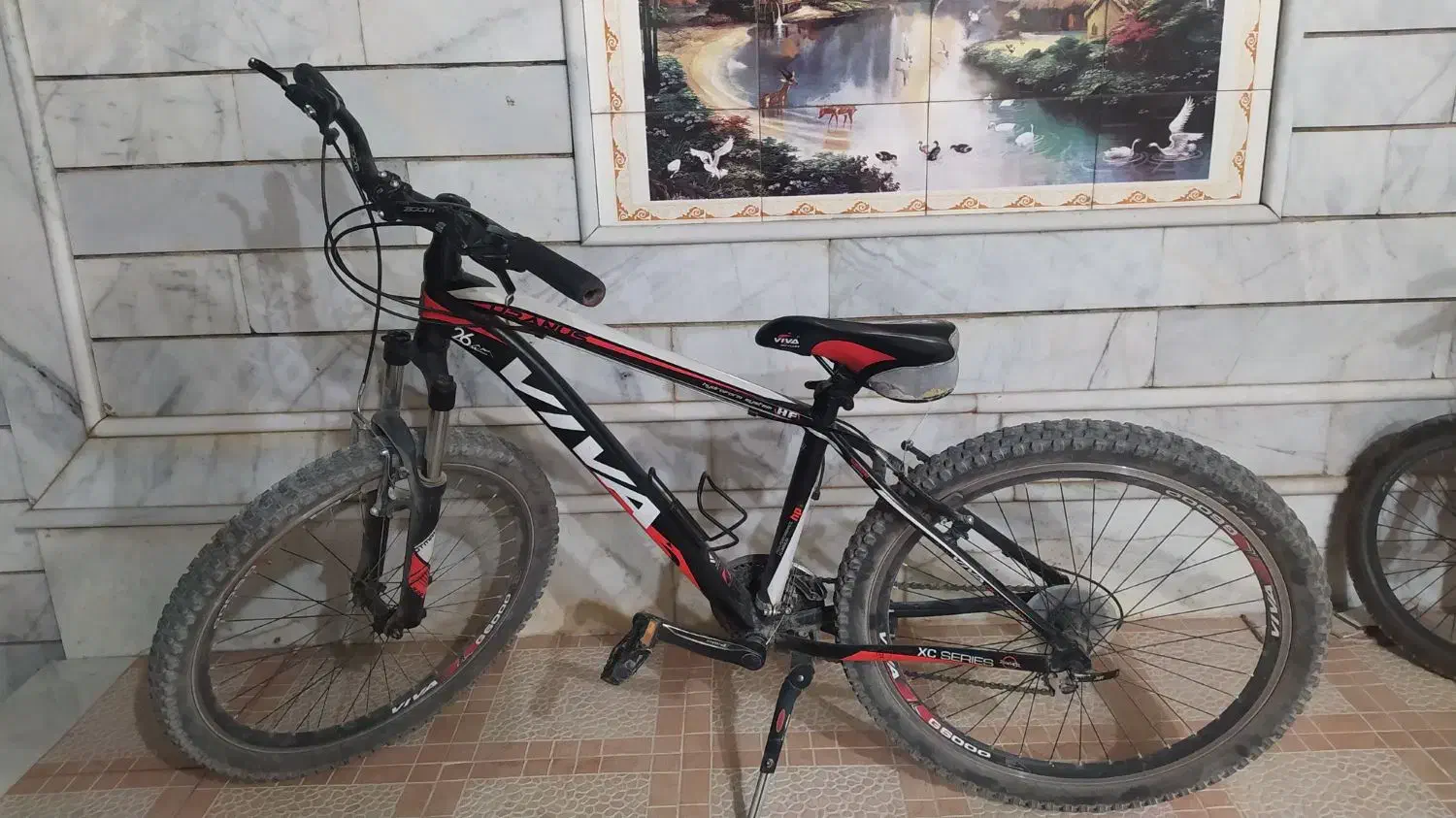 دوچرخه کوهستان ۲۶|دوچرخه، اسکیت، اسکوتر|ارسنجان, |دیوار