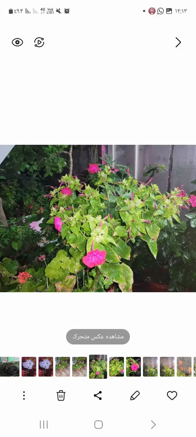 نظافت پرندگان و منزل|استخدام سرایداری و نظافت|تهران, جنتآباد مرکزی|دیوار