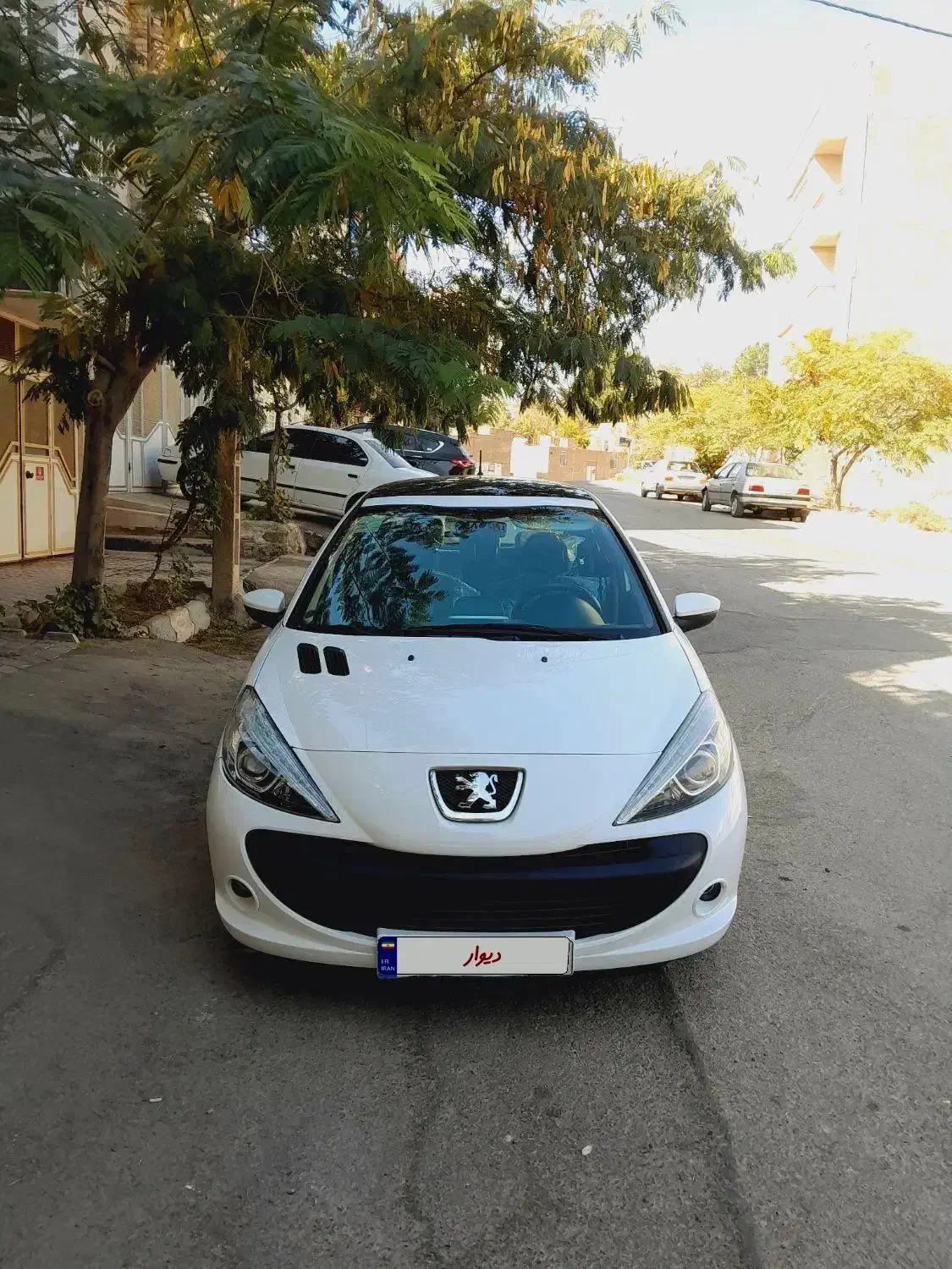 ۲۰۷پانا اوتومات|خودرو سواری و وانت|اسفراین, |دیوار