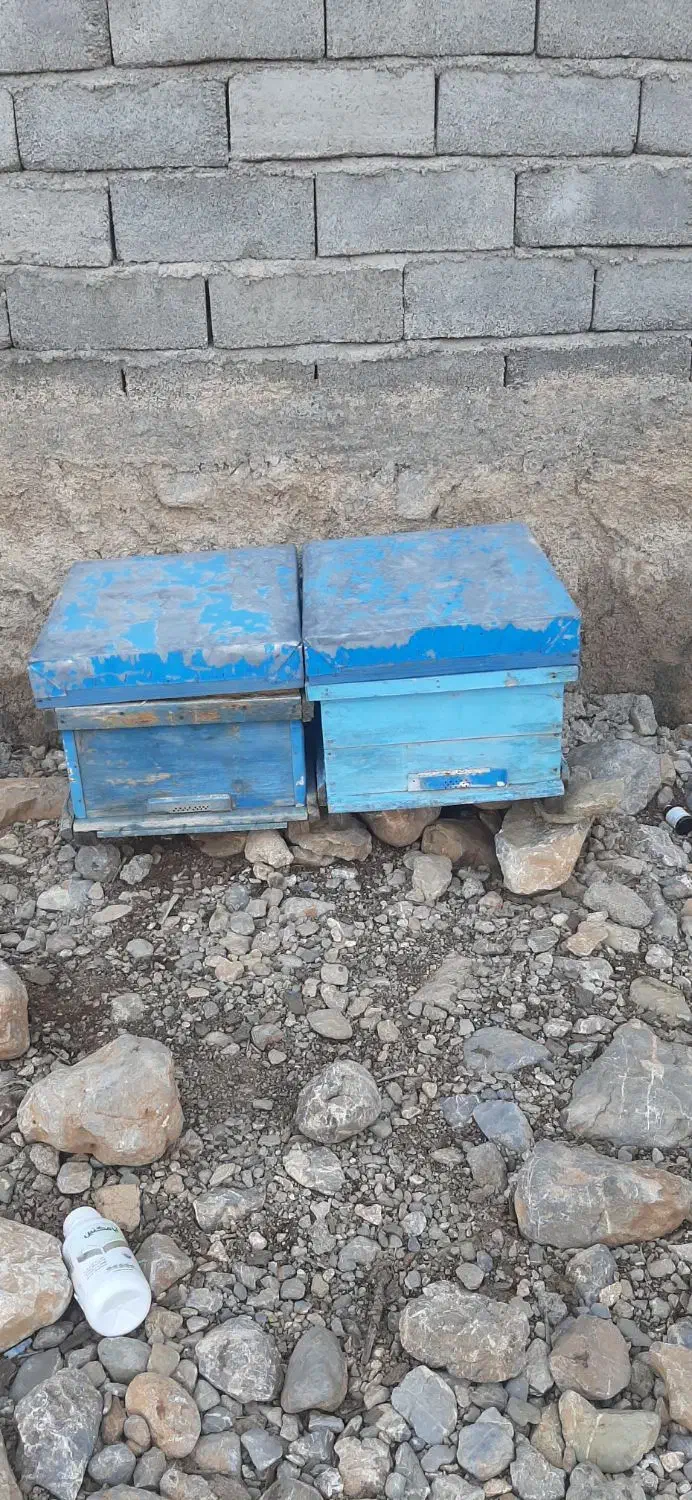 کندو|حیوانات مزرعه|بیرانوند, |دیوار