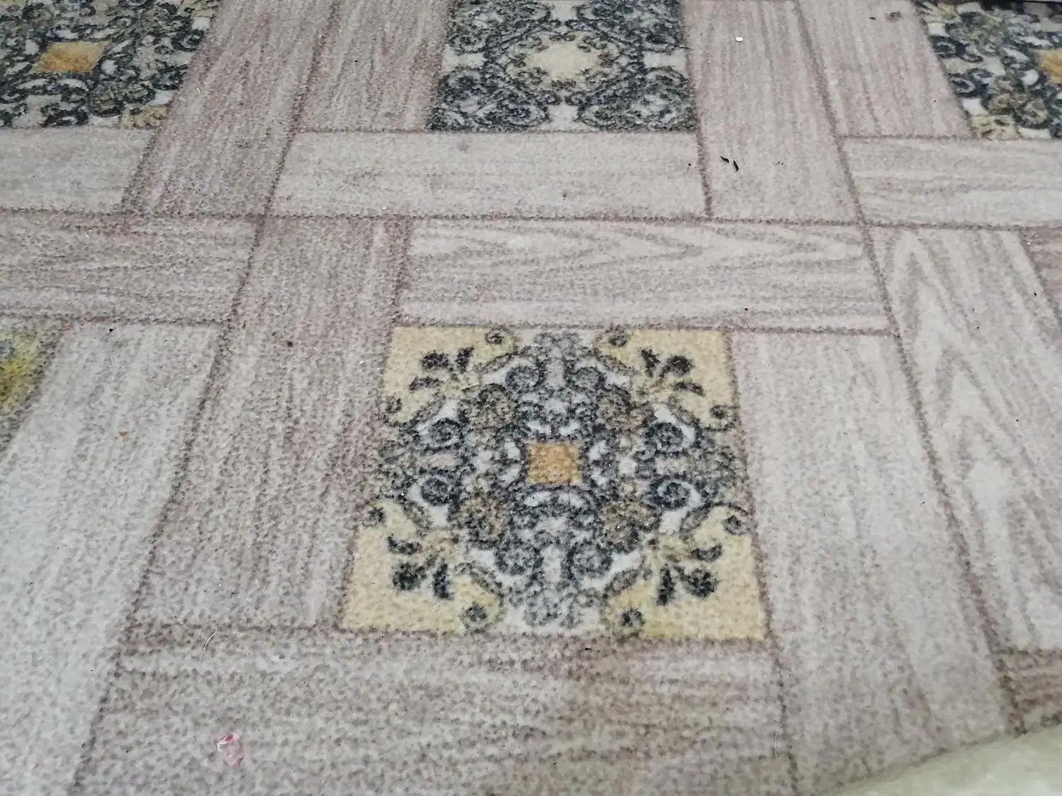 موکت|موکت|دزفول, |دیوار