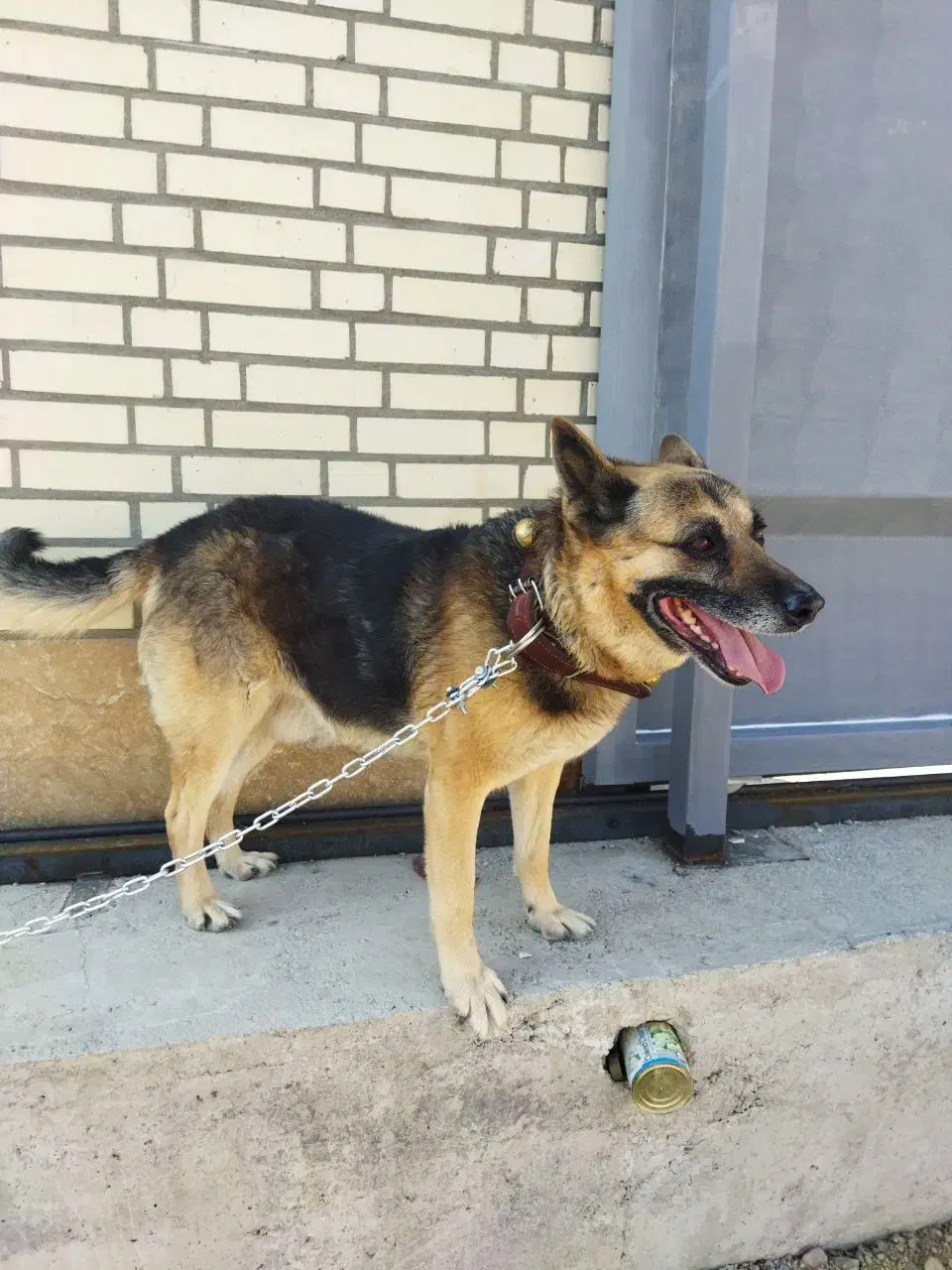 کمک و راهنمایی|فعالیت داوطلبانه|فولادشهر, مسکن مهر فولادشهر|دیوار