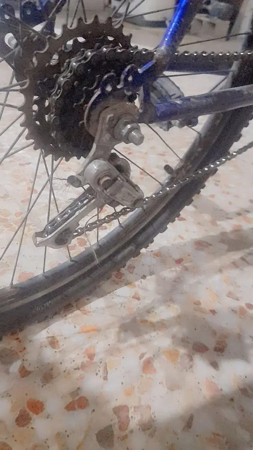 دوچرخه|دوچرخه، اسکیت، اسکوتر|ایذه, |دیوار