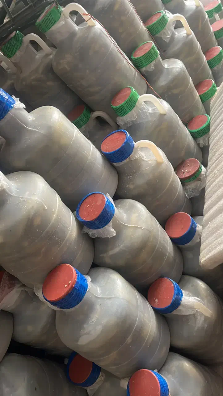 زیتون ، ترشی ، خیارشور|خوردنی و آشامیدنی|تهران, زنجان جنوبی|دیوار