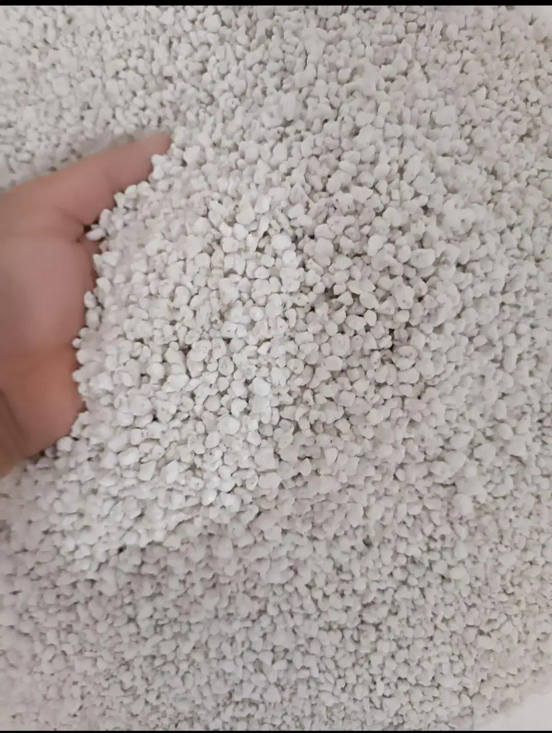 پرلیت گلخانه ای|گل و گیاه طبیعی|مشهد, خواجه ربیع|دیوار