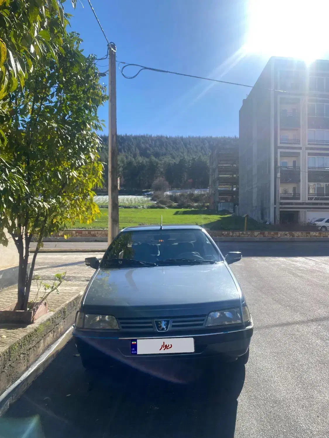 پژو ۴۰۵ دوگانه کارخانه|خودرو سواری و وانت|علی‌آباد کتول, |دیوار