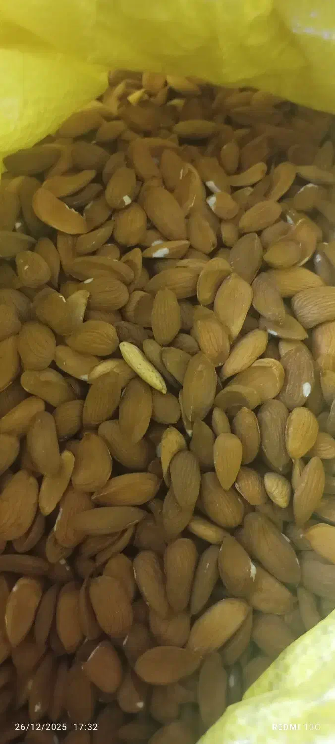 مغز بادام شیرین|خوردنی و آشامیدنی|یزد, |دیوار