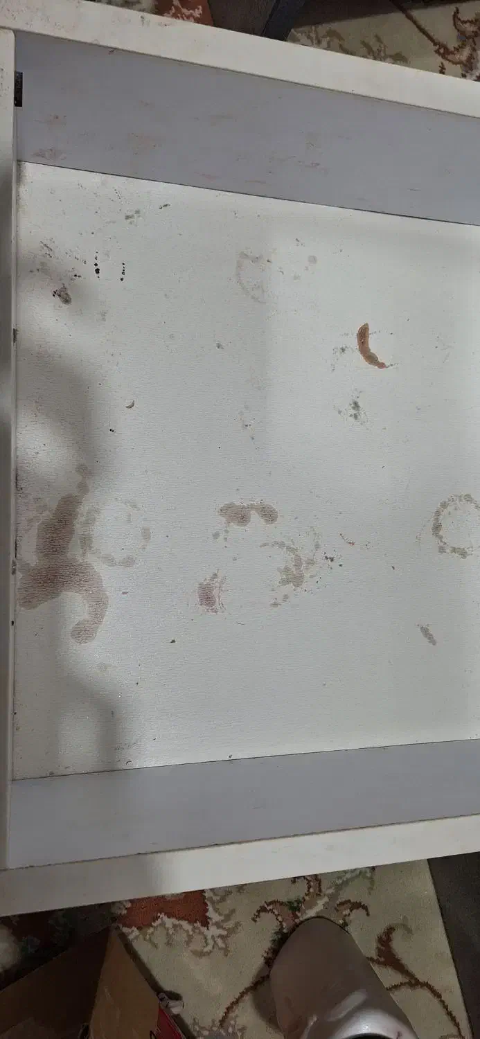 میز ناخن|آرایشگاه و سالنهای زیبایی|بندر انزلی, کلیور|دیوار