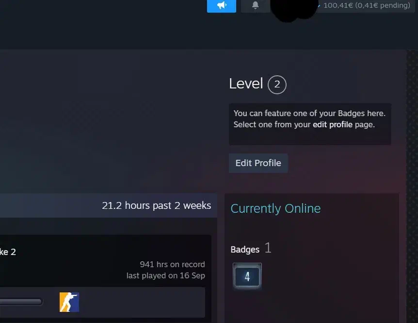 اکانت استیم steam با صد دلار شارژ|کنسول، بازی ویدئویی و آنلاین|قم, انسجام|دیوار