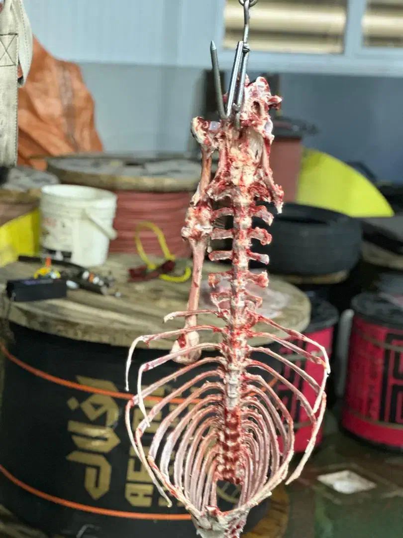 ذبح گاو گوسفند گوساله حرفه ای سلاخ سلاخی قصاب|خدمات پذیرایی، مراسم|زنجان, |دیوار