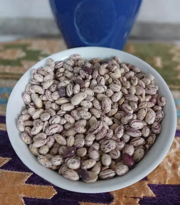 لوبیا چیتی امسالی|خوردنی و آشامیدنی|قم, یزدان‌شهر|دیوار