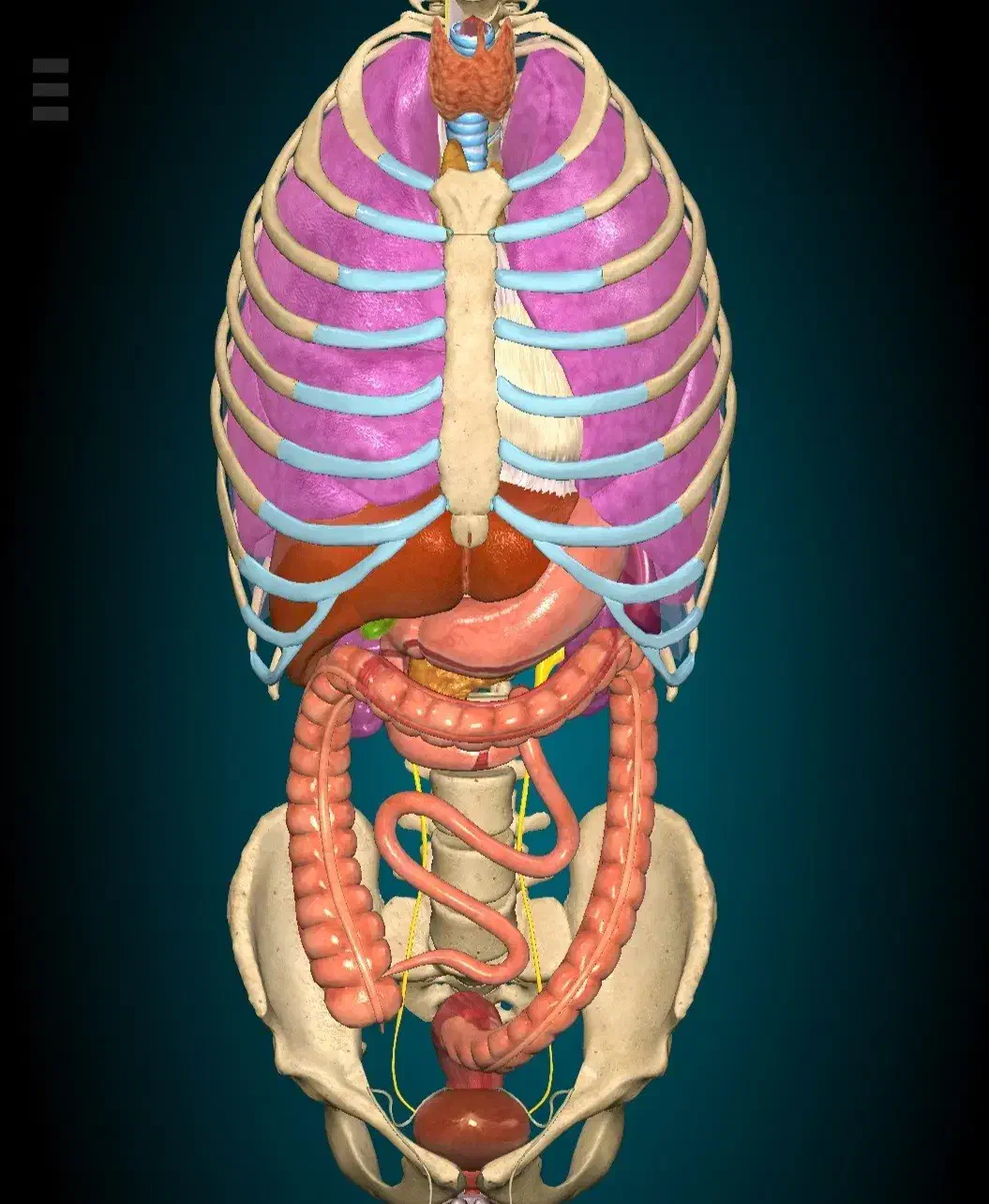 تدریس و رفع اشکال زیست کنکور و نهایی|خدمات آموزشی|قائم‌شهر, |دیوار