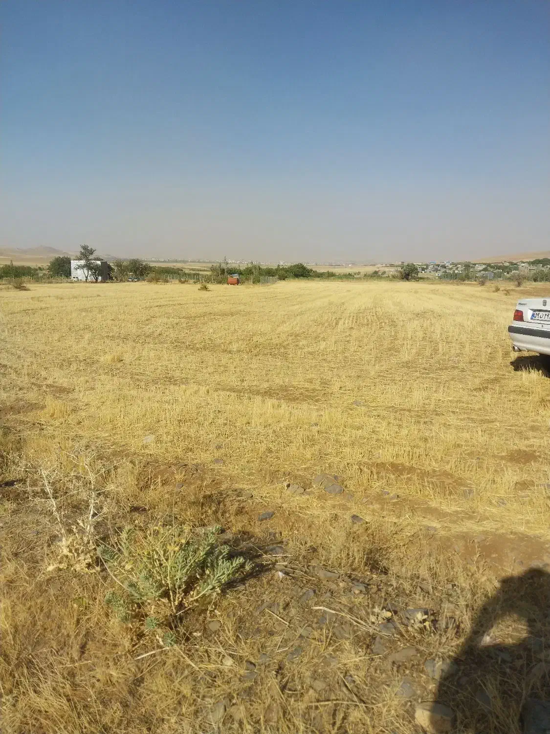 زمین باغی در ویهج اول جاده قمرعلی|فروش زمین و ملک کلنگی|قروه, |دیوار