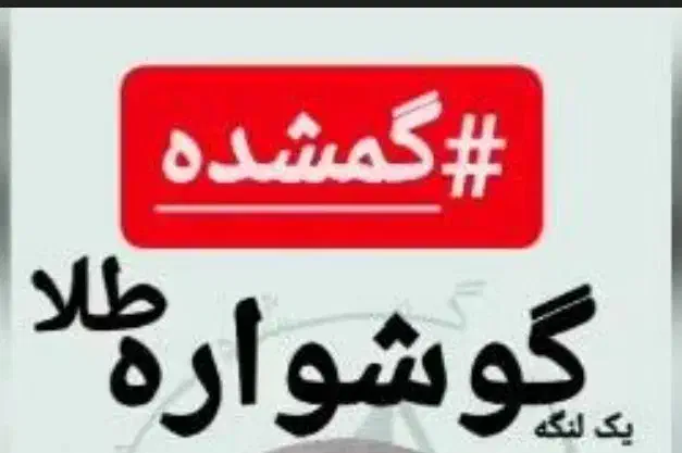 گوشواره گمشده|جواهرات|کرج, المهدی|دیوار