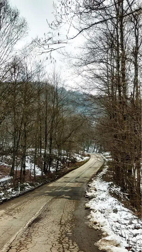 فعالیت برای بانوان|فعالیت داوطلبانه|تبریز, |دیوار