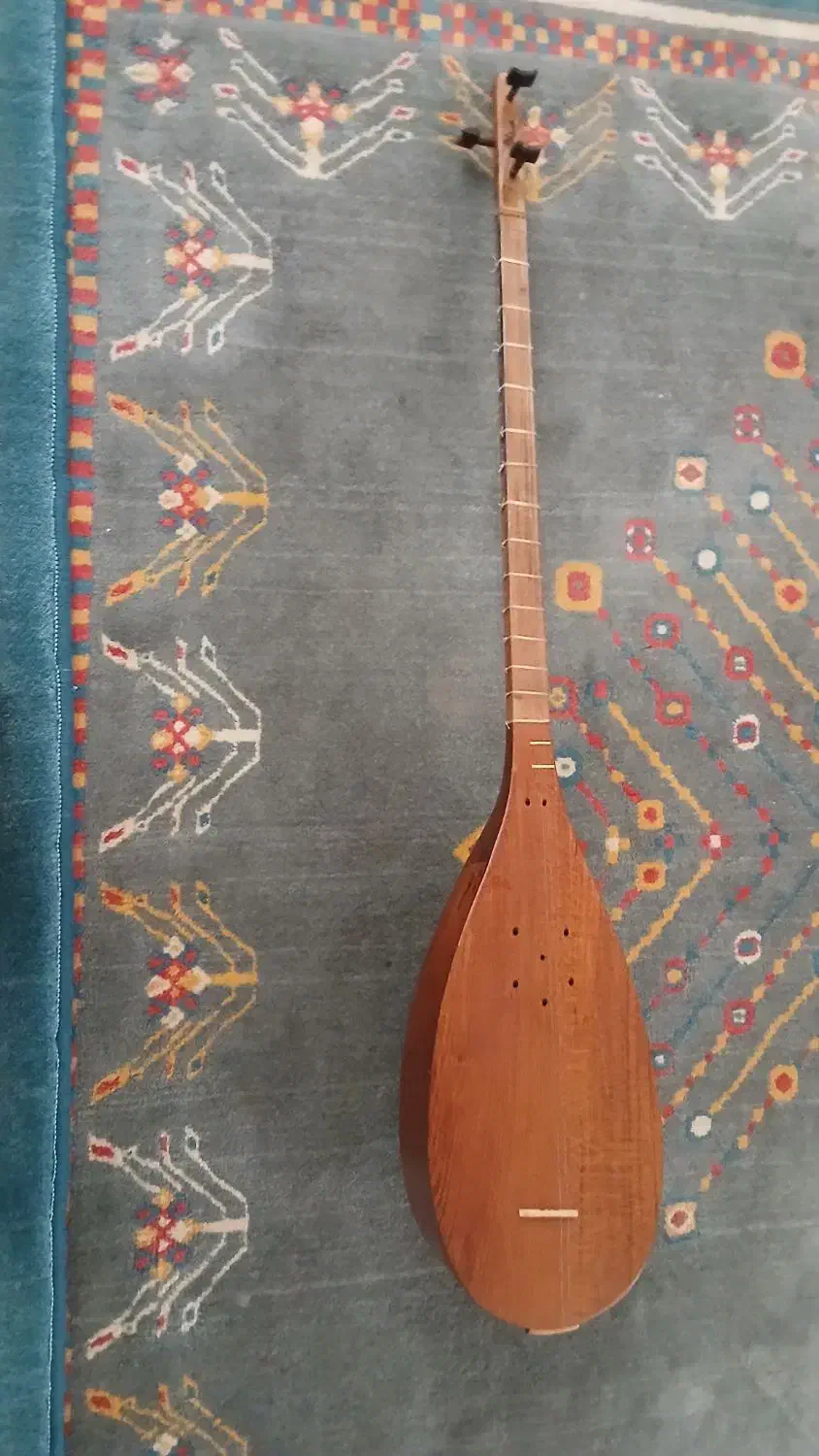 تنبور در حد نو|سازهای سنتی|یاسوج, |دیوار