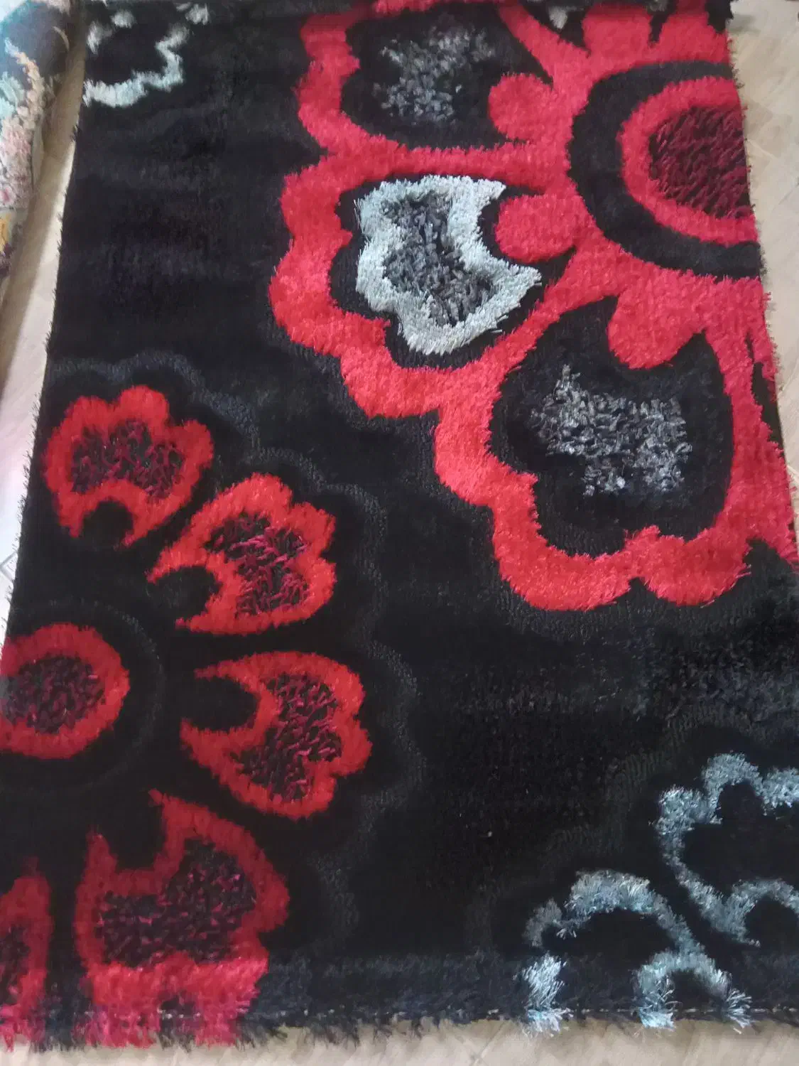 قالیچه شگی اصل صفر اک و روفرشی|فرش|رشت, صفاری|دیوار