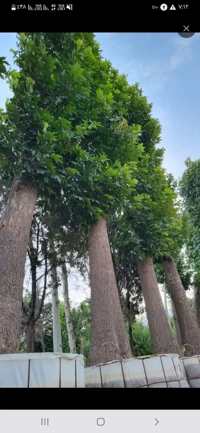 راهنمایی در مورد مشکلات ماورایی|فعالیت داوطلبانه|فولادشهر, B1|دیوار