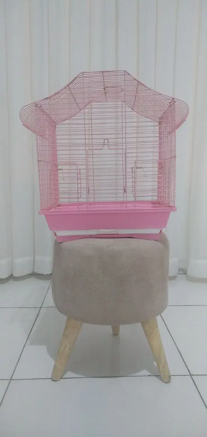 قفس برای طوطی|لوازم جانبی حیوانات|سنندج, |دیوار