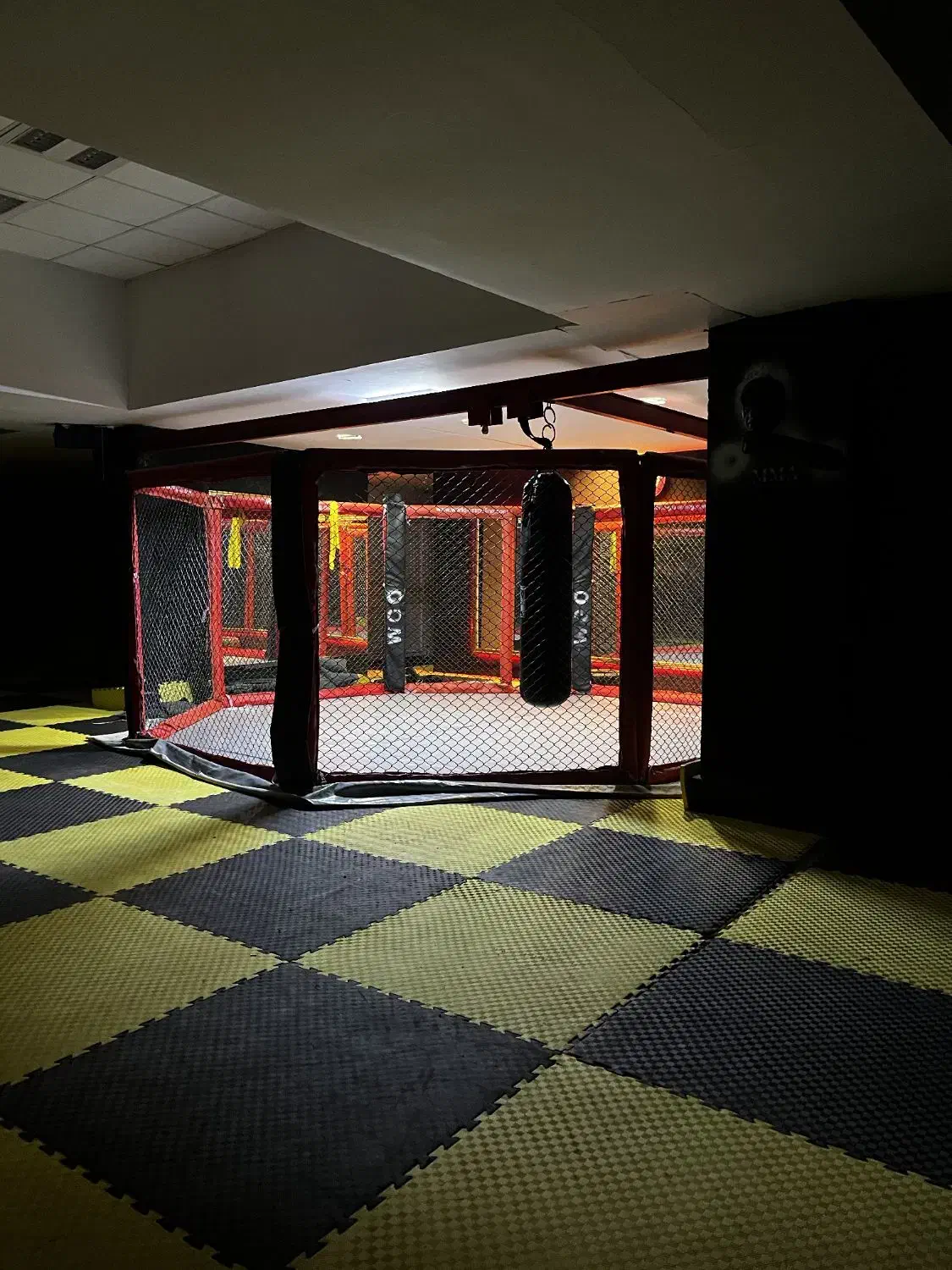 باشگاه تخصصی mma(ام ام ای)|خدمات آموزشی|کرمانشاه, |دیوار