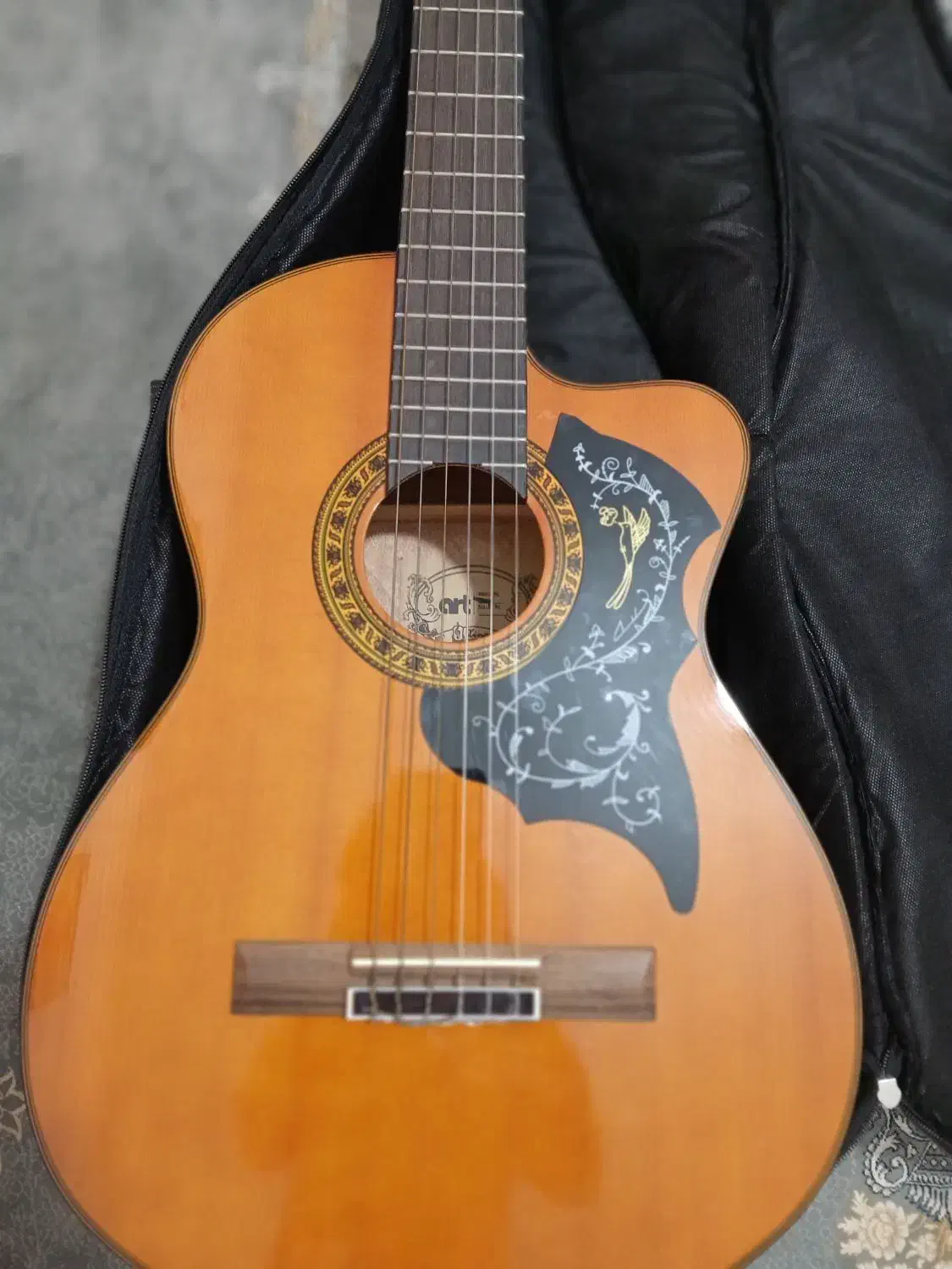 گیتار مناسب مبتدی تا حرفه|گیتار، بیس، امپلیفایر|هشتگرد, شهرک ایران خودرو|دیوار