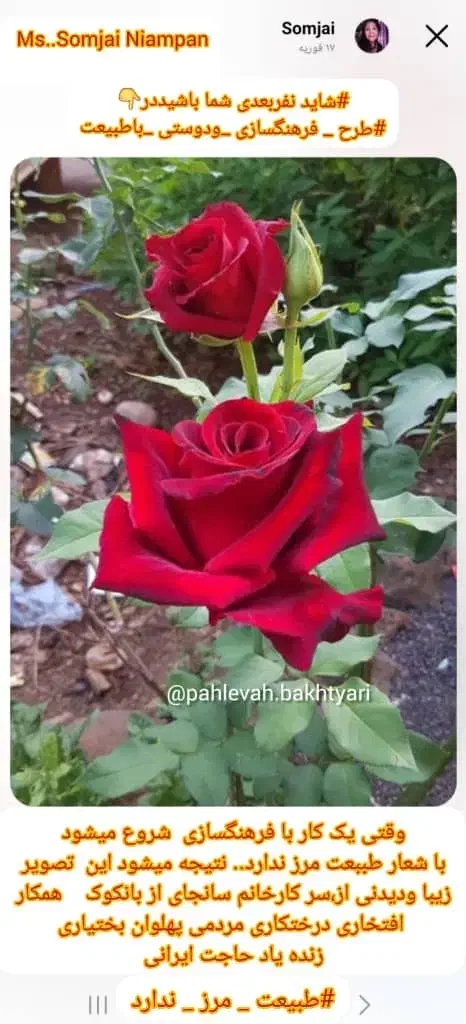 دومیلیارد سرمایه دارم|فعالیت داوطلبانه تحقیقاتی|اهواز, کیانپارس |دیوار