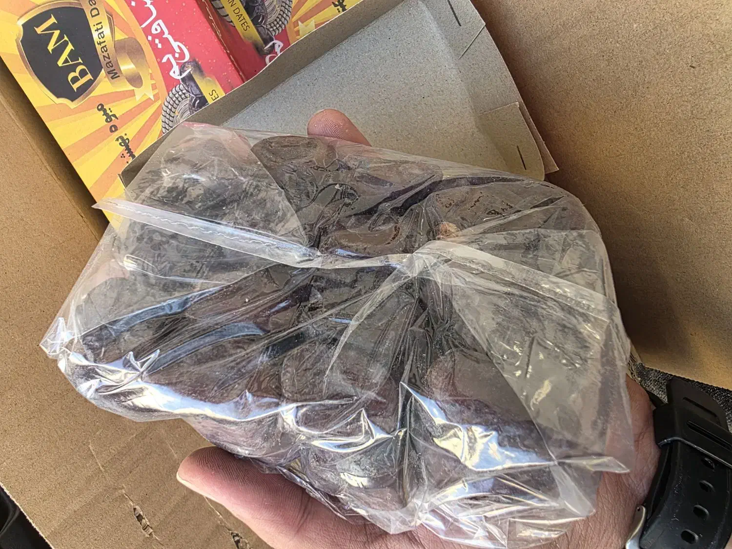 خرمای جنوب|عمدهفروشی|تهران, سردارجنگل|دیوار