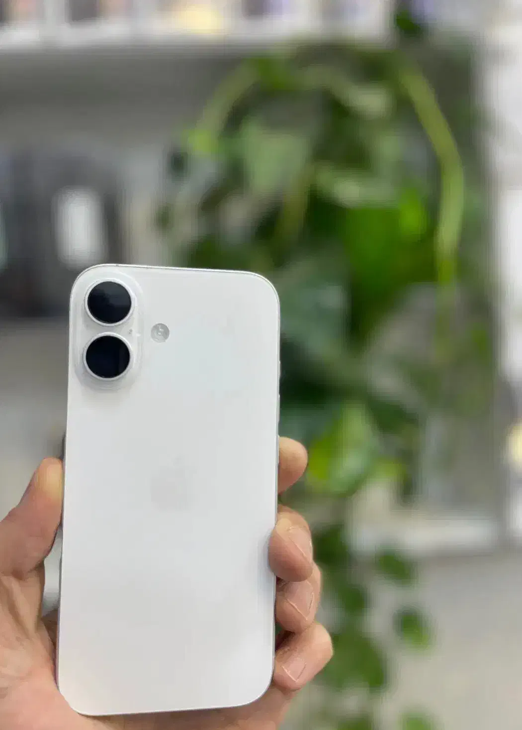 گوشی آیفون ۱۶|موبایل|تبریز, |دیوار