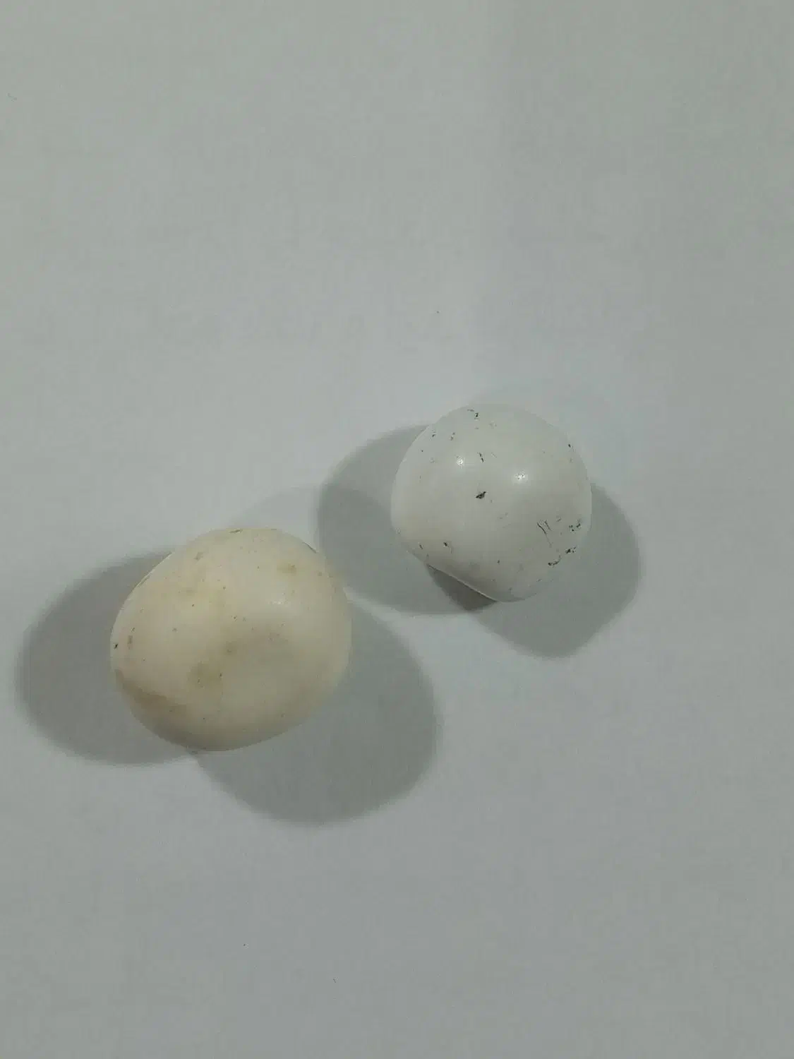 سنگ اسیاب|کلکسیون اشیاء عتیقه|قم, پردیسان|دیوار