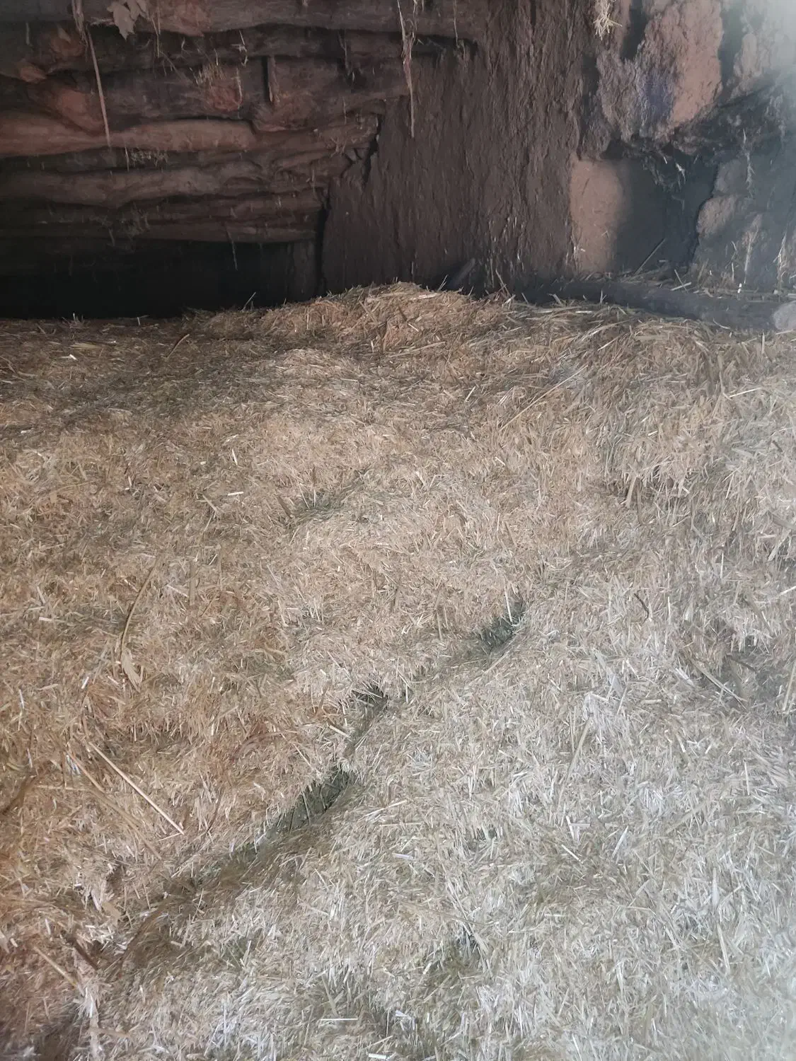 کاه گندم|لوازم جانبی حیوانات|ویسیان, |دیوار