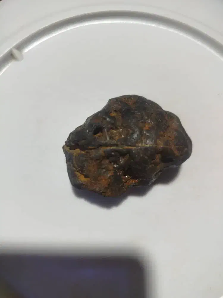 شهاب سنگ|کلکسیون اشیاء عتیقه|یاسوج, |دیوار