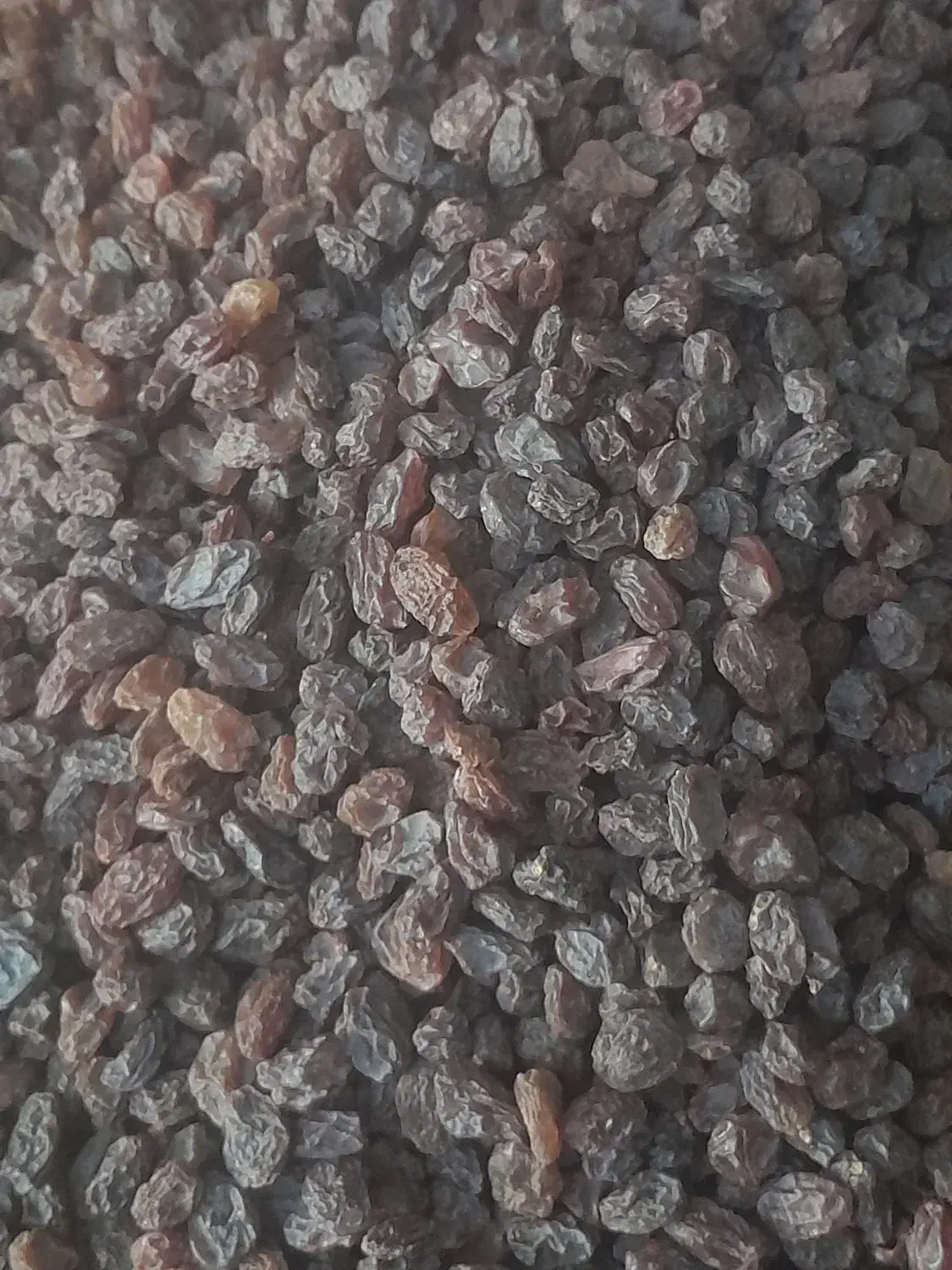 کشمش بیدانه|خوردنی و آشامیدنی|ساوه, |دیوار