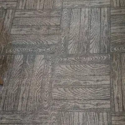 موکت ۶ متری|موکت|چالوس, |دیوار