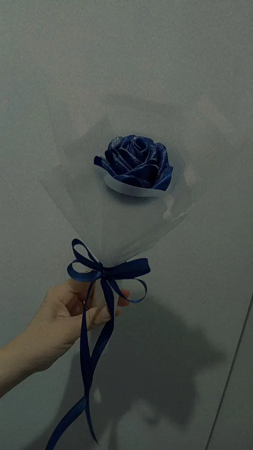 دست ساز|گل مصنوعی|نیشابور, دارایی|دیوار