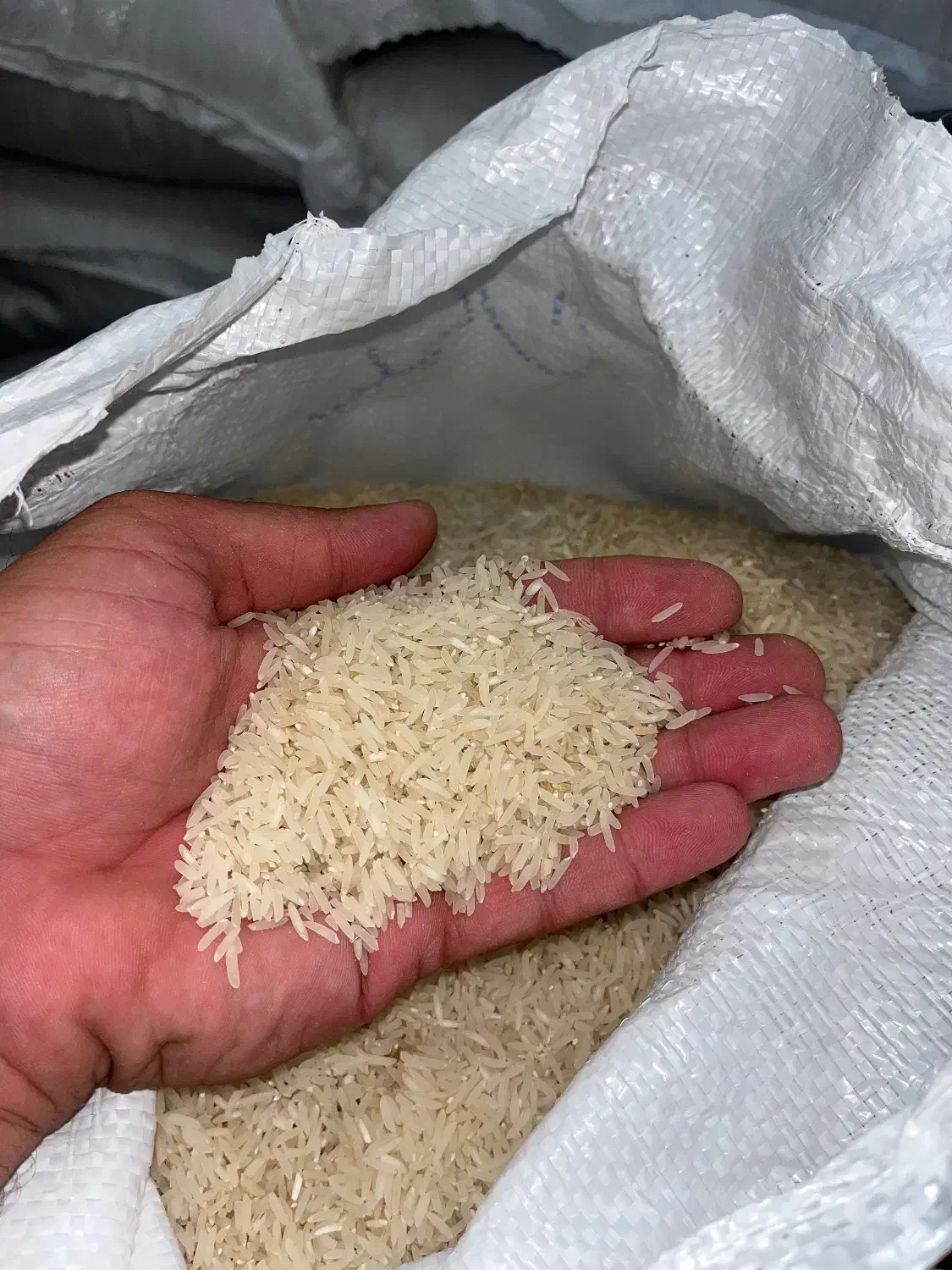 برنج فجر سوزنی|خوردنی و آشامیدنی|فاضل آباد, |دیوار