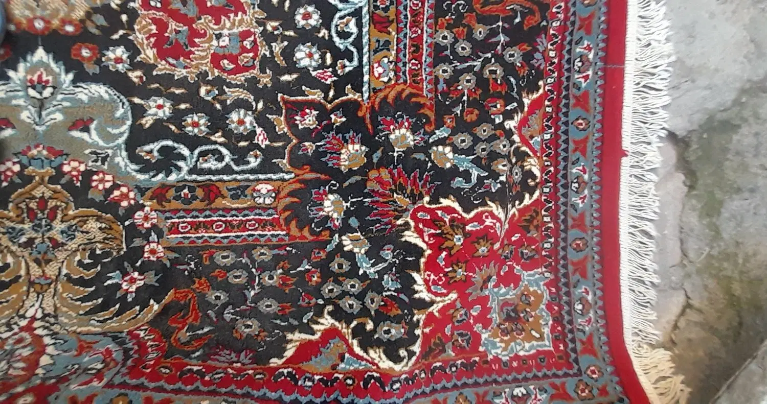 فرش|فرش|مشهد, کوی دروی|دیوار