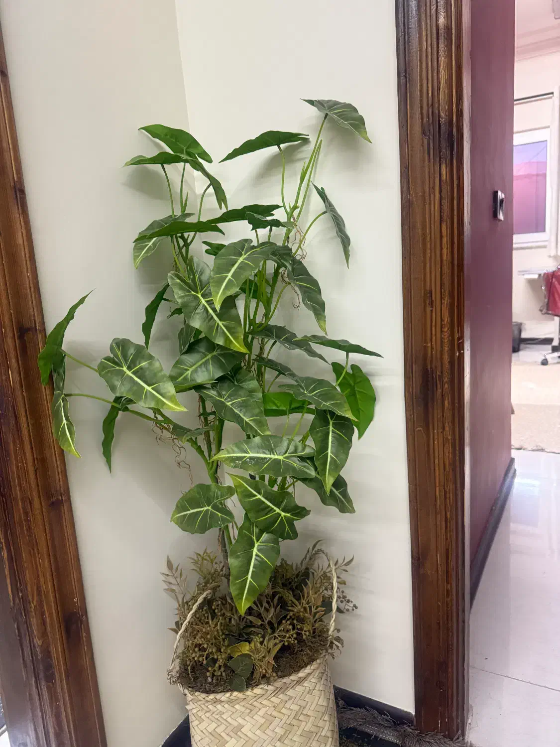 گل مصنوعی|گل مصنوعی|گنبد کاووس, |دیوار