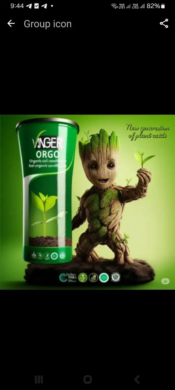 افزایش عملکرد گوجه فرنگی|خدمات باغبانی و درختکاری|بوشهر, |دیوار