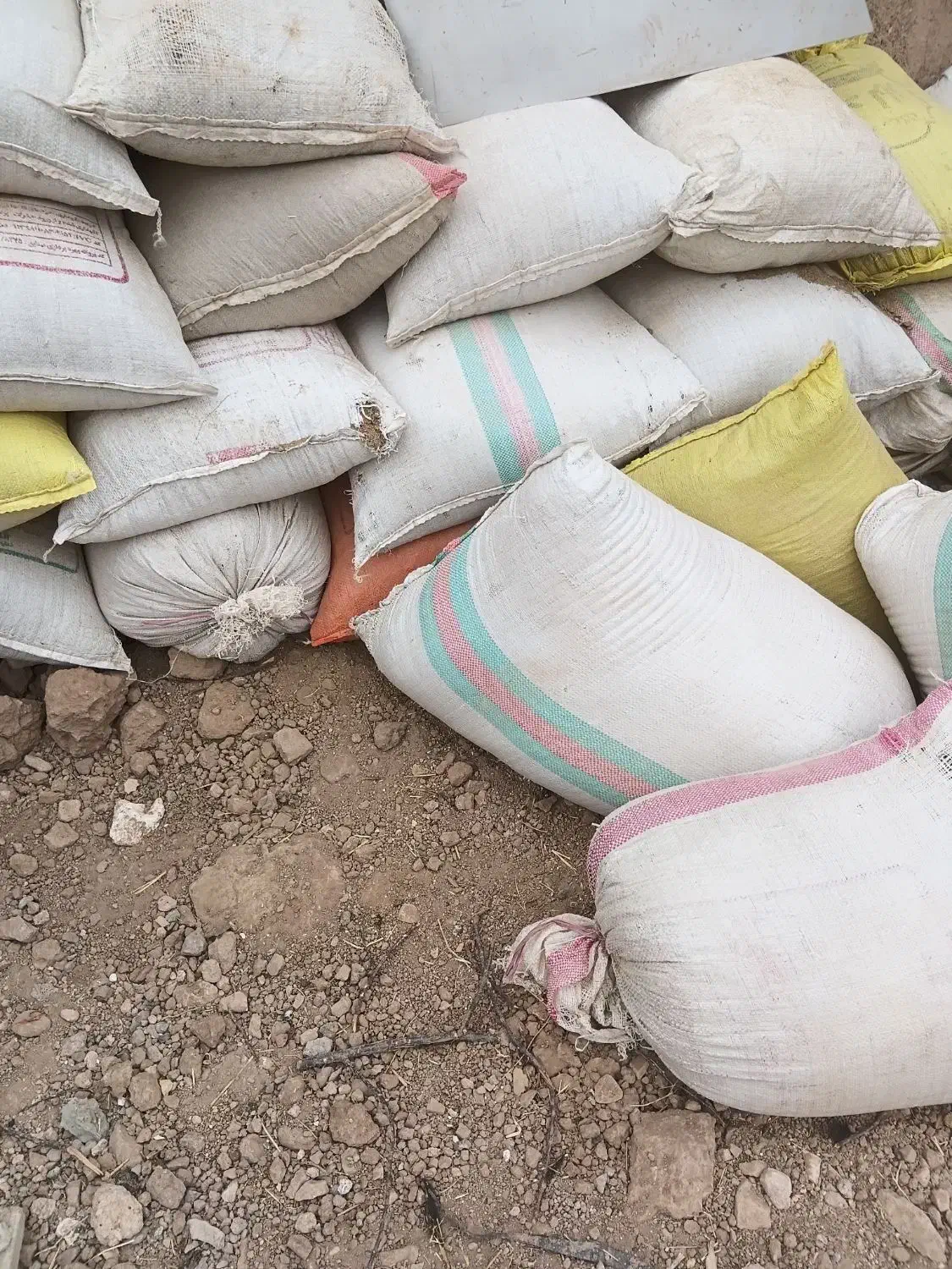 کودگوسفند‌|خدمات باغبانی و درختکاری|قزوین, |دیوار