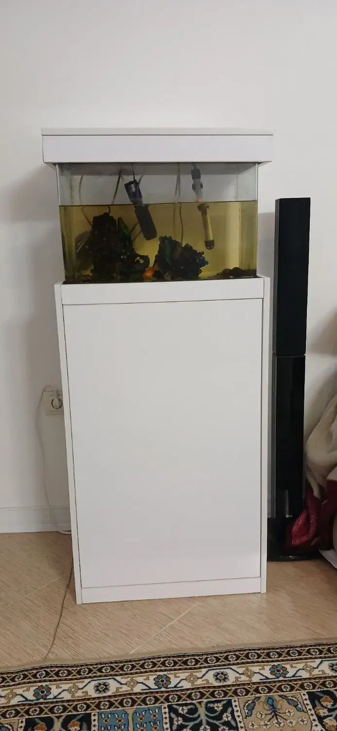 آکواریوم|ماهی|شیراز, فرهنگیان|دیوار