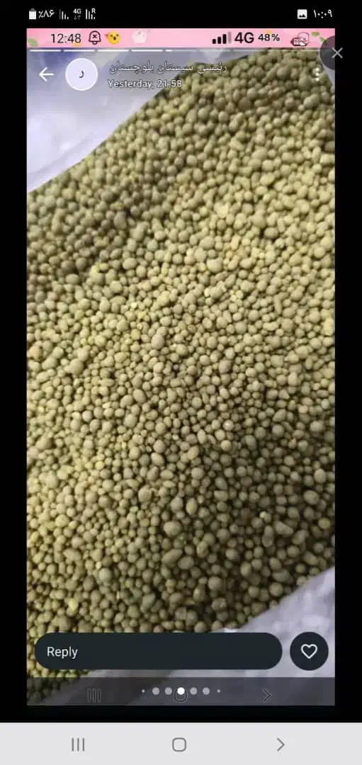 عرضه هیومیک اسید،کود کامل گرانول و...در یزد|خدمات باغبانی و درختکاری|جیرفت, |دیوار