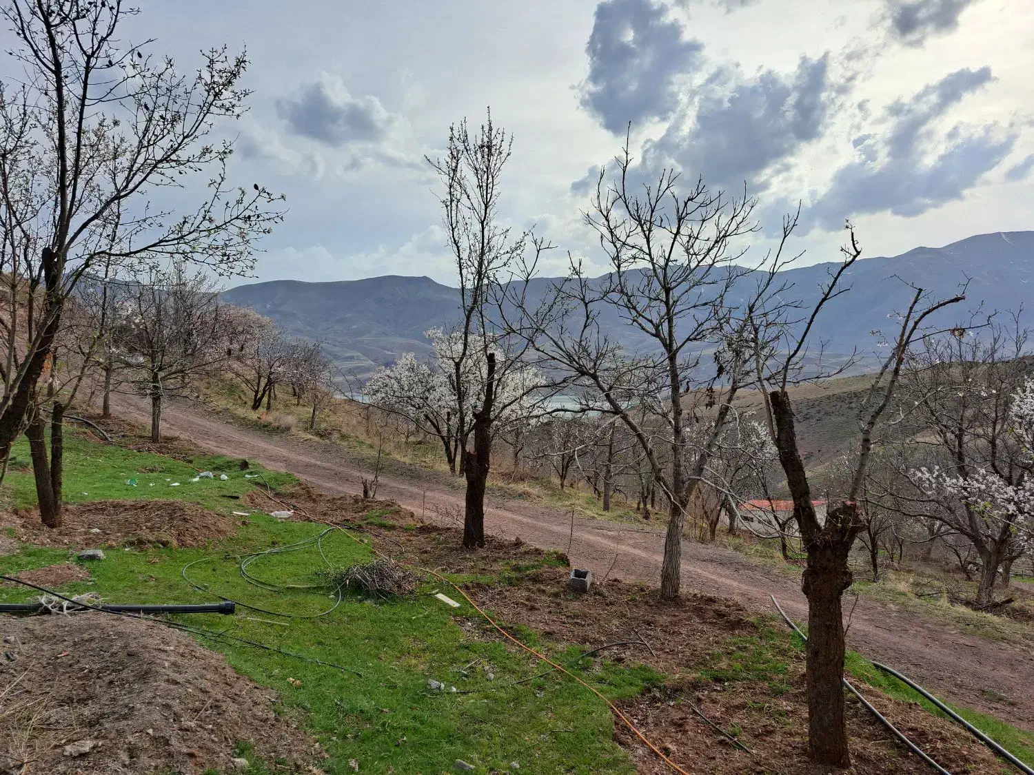 طالقان ۶ هکتار مناسب ویلا سازی|فروش زمین و ملک کلنگی|طالقان, |دیوار