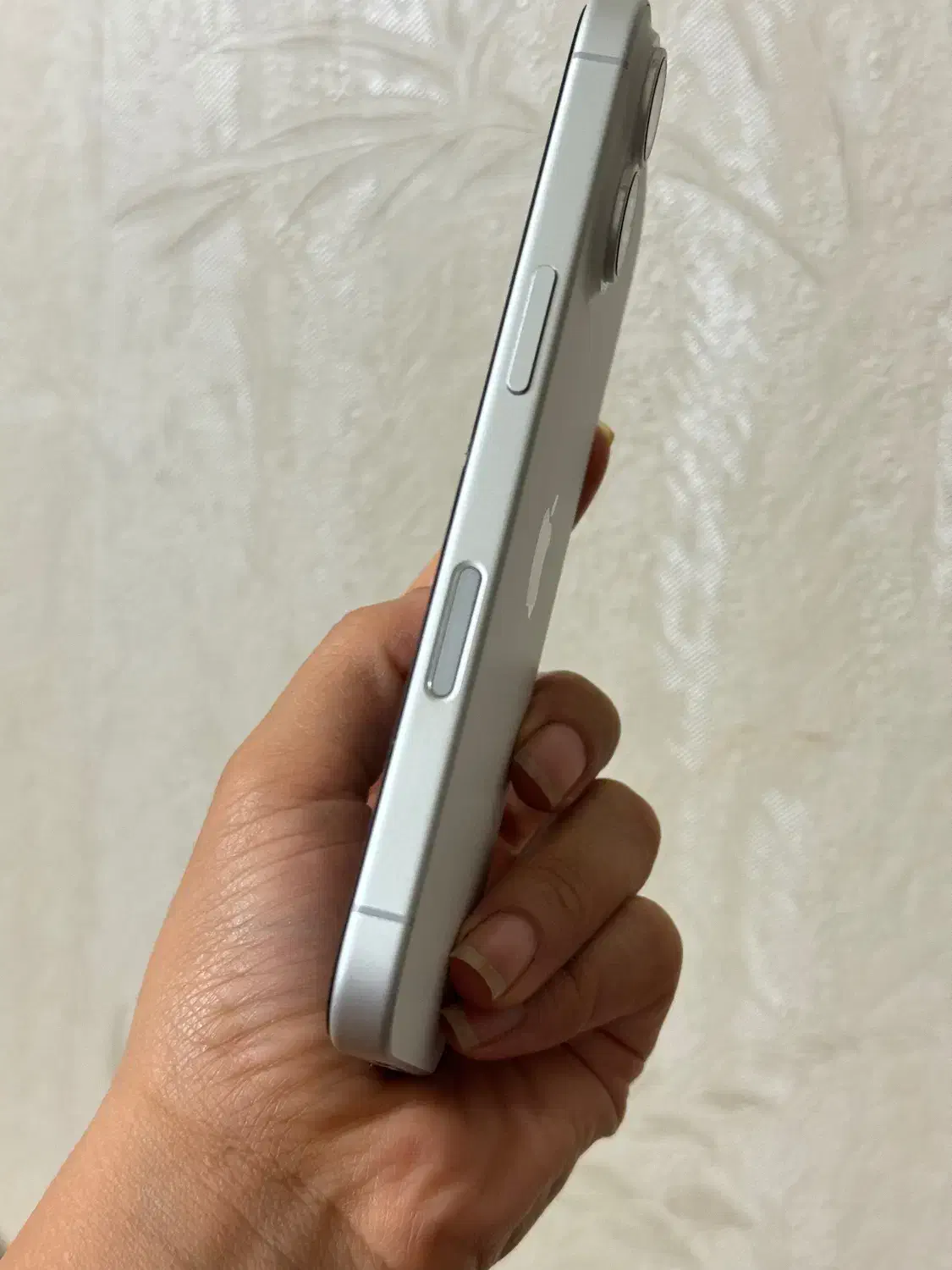 آیفون ۱۶نرمال|موبایل|ساری, |دیوار